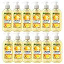 12x Garnier Skin Active Vitamin C Brightening Gel Cleanser 200ml