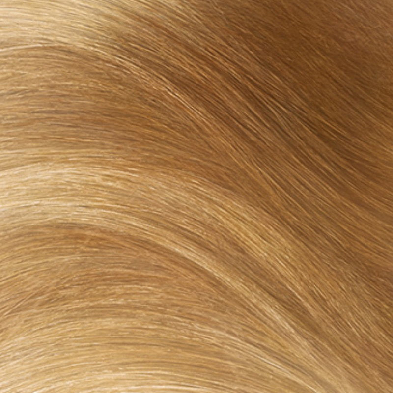 6x L'Oreal Paris Excellence Crème Permanent Hair Colour 8.3 Golden Blonde