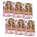 6x L'Oreal Paris Excellence Crème Permanent Hair Colour 8.3 Golden Blonde